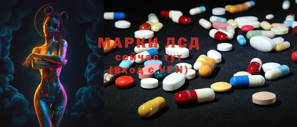 ГАЛЛЮЦИНОГЕННЫЕ ГРИБЫ Алзамай