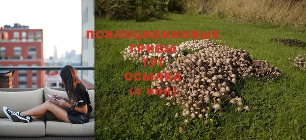 герыч Алексин