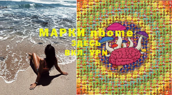 ГАЛЛЮЦИНОГЕННЫЕ ГРИБЫ Алзамай