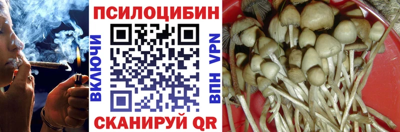Галлюциногенные грибы Magic Shrooms  Жуковка 